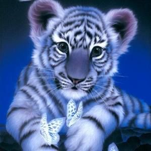 Meet your Posher, Sue